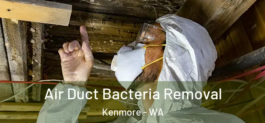  Air Duct Bacteria Removal Kenmore - WA