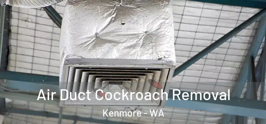  Air Duct Cockroach Removal Kenmore - WA