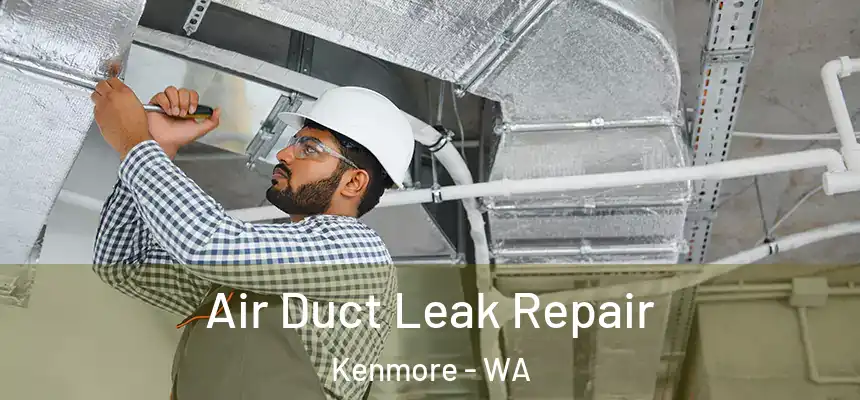  Air Duct Leak Repair Kenmore - WA