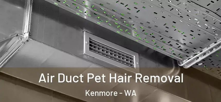 Air Duct Pet Hair Removal Kenmore - WA