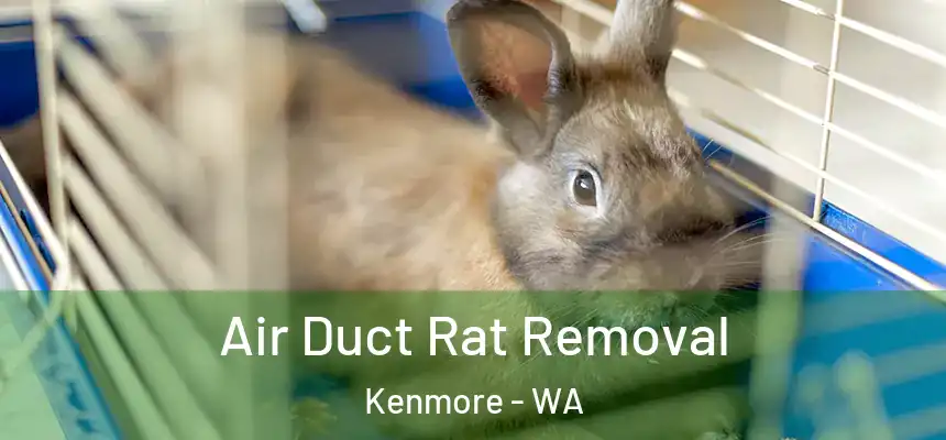  Air Duct Rat Removal Kenmore - WA