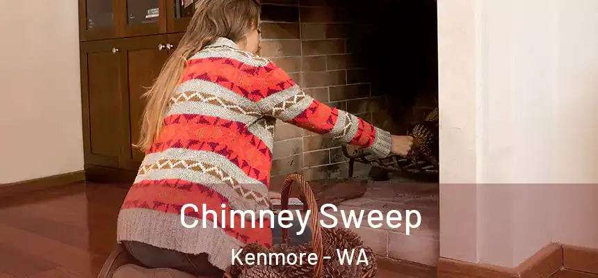  Chimney Sweep Kenmore - WA