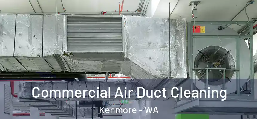 Commercial Air Duct Cleaning Kenmore - WA