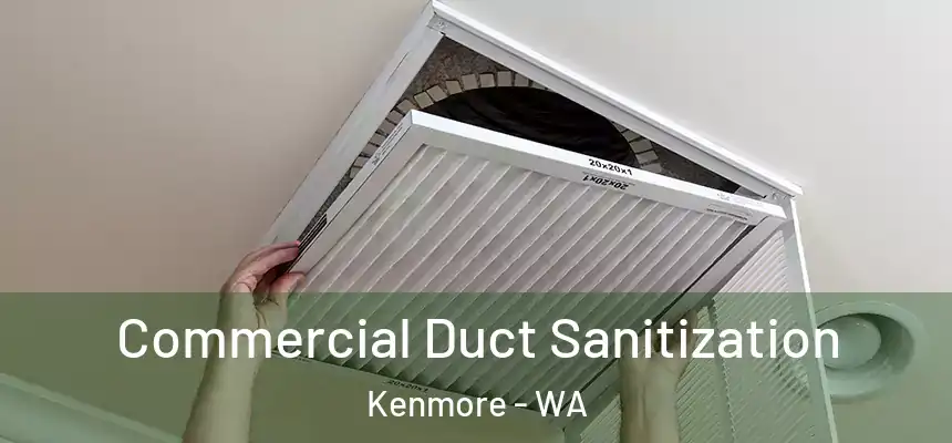 Commercial Duct Sanitization Kenmore - WA