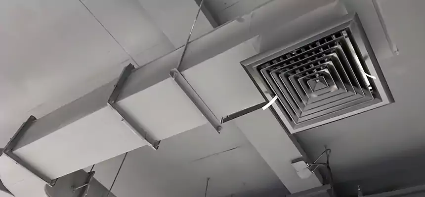 Restorative Allergy Relief Vent Cleaning – Coil, Blower & Housing Detail in Kenmore