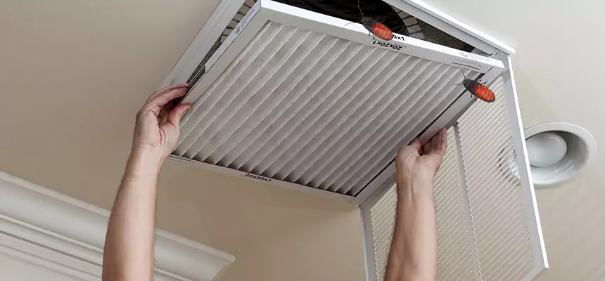 Our Insect Removal from Air Ducts Services in Kenmore, WA