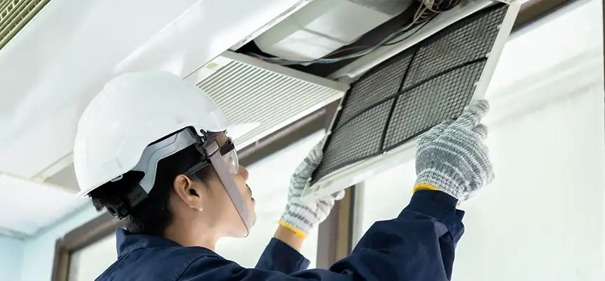 Our Lint Trap Cleaning Service Services in Kenmore, WA