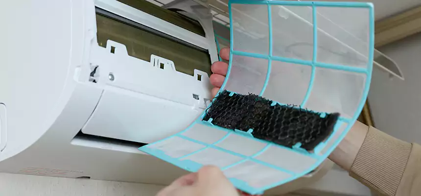 Gentle Ductwork Odor-Control Pet Dander Duct Cleaning in Kenmore, WA