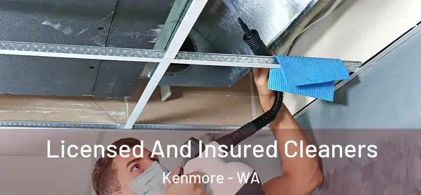  Licensed And Insured Cleaners Kenmore - WA