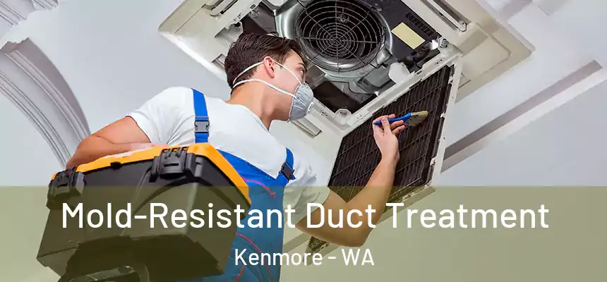  Mold-Resistant Duct Treatment Kenmore - WA
