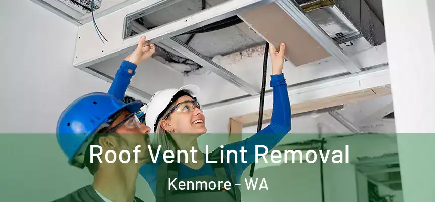 Roof Vent Lint Removal Kenmore - WA