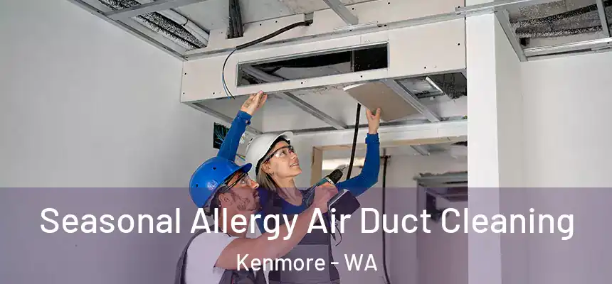Seasonal Allergy Air Duct Cleaning Kenmore - WA