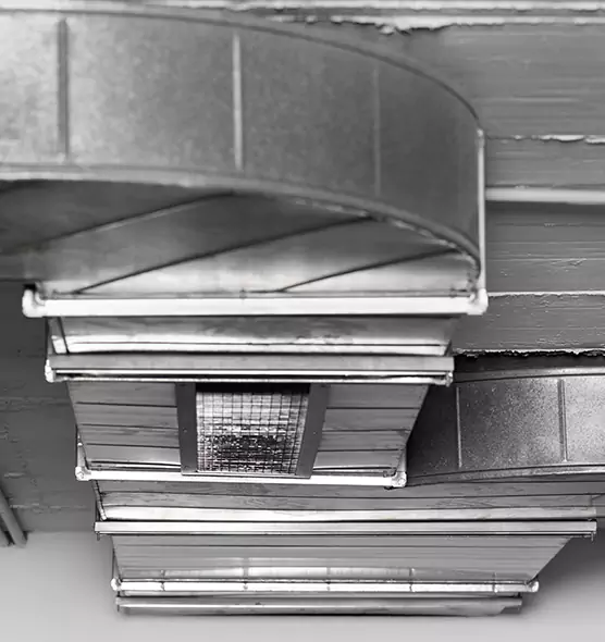 Professional Air Duct Pet Hair Removal in Kenmore, WA