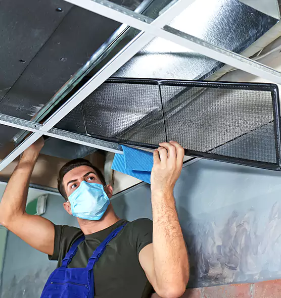Professional Air Duct Pollen Cleaning in Kenmore, WA
