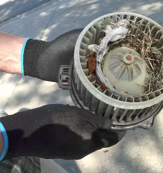 About Air Duct Rat Removal in Kenmore, WA