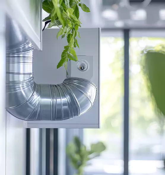 Professional Eco-Safe Dryer Vent Cleaning in Kenmore, WA