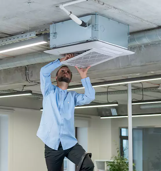 Advanced Rodent Droppings In Vents in Kenmore, WA