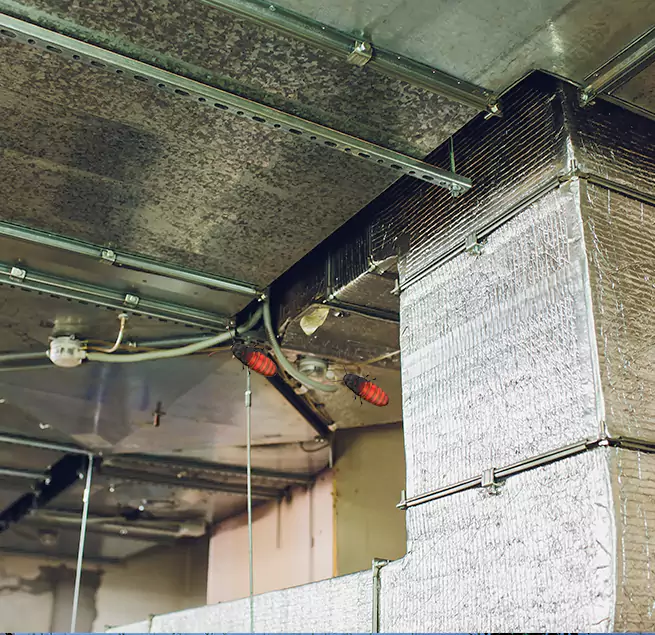 Why Homeowners & Businesses Trust Us in Kenmore, WA?