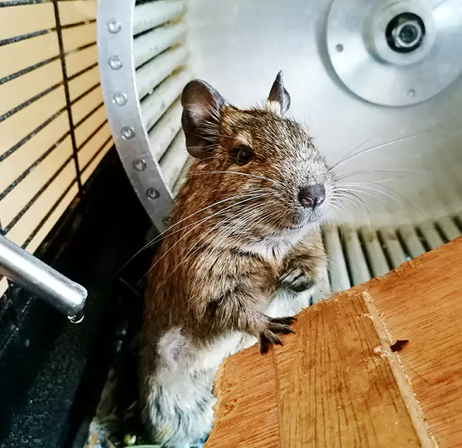 Why Homeowners & Businesses Trust Us Kenmore, WA?