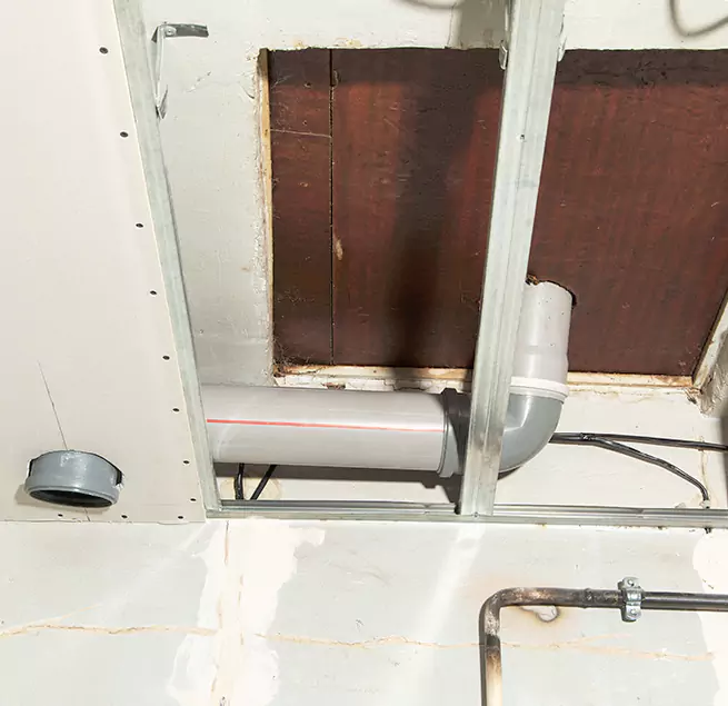 Why Homeowners & Businesses Trust Us in Kenmore, WA?