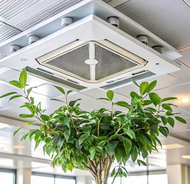 Why Homeowners & Businesses Trust Us in Kenmore, WA