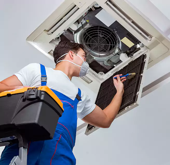 Why Homeowners & Businesses Trust Us in Kenmore, WA?