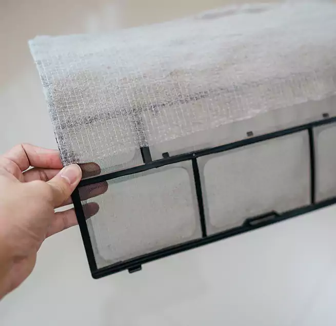 Why Homeowners & Businesses Trust Us in Kenmore, WA?