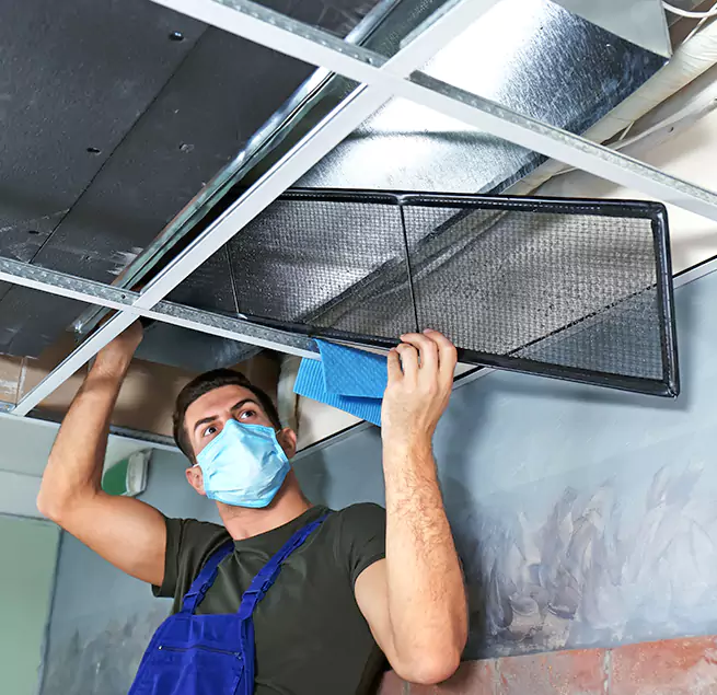  Why Homeowners Businesses Trust Us  in Kenmore, WA?